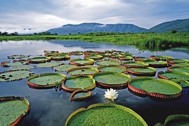 diem den tuyet nhat the gioi anh 12