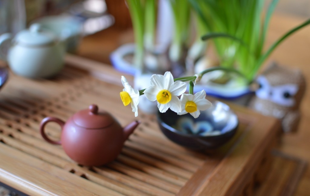 Tu vi tuan moi ngay 10-16/10 cua cac cung hoang dao hinh anh