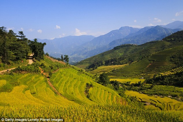 Nha san Viet Nam duoc yeu thich tren bao Tay hinh anh