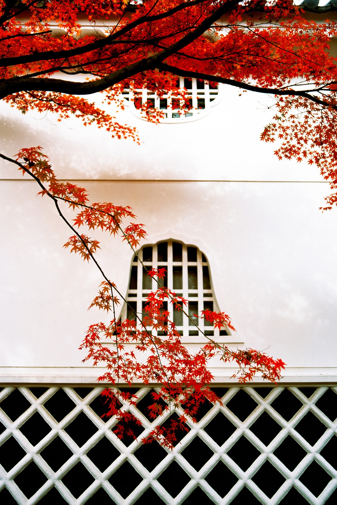 canh mua thu tuyet dep o cac nuoc anh 13