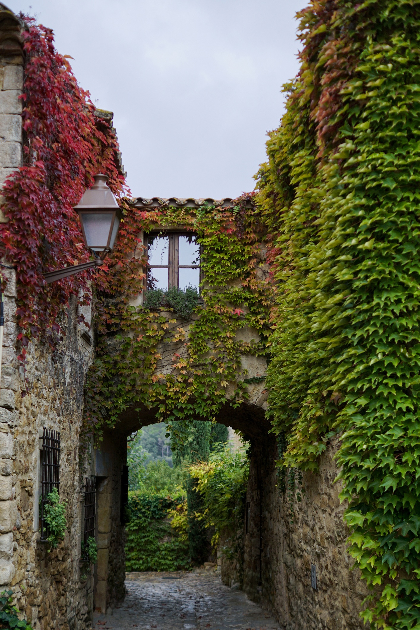 canh mua thu tuyet dep o cac nuoc anh 17