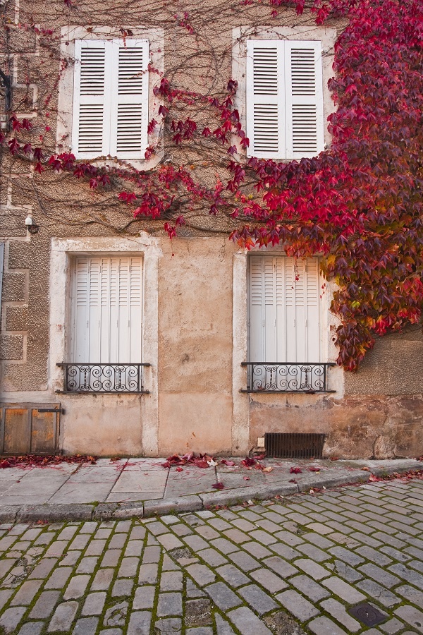 canh mua thu tuyet dep o cac nuoc anh 2