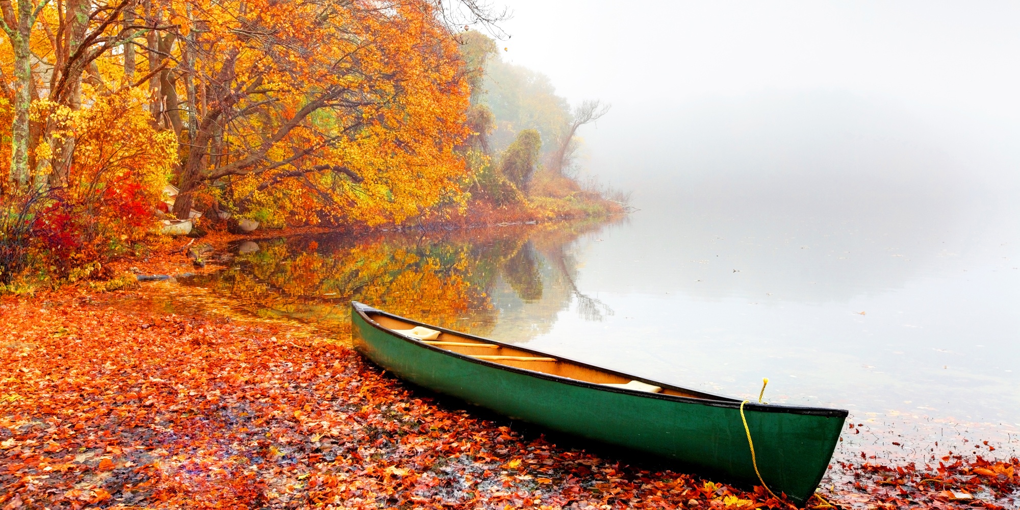 canh mua thu tuyet dep o cac nuoc anh 5