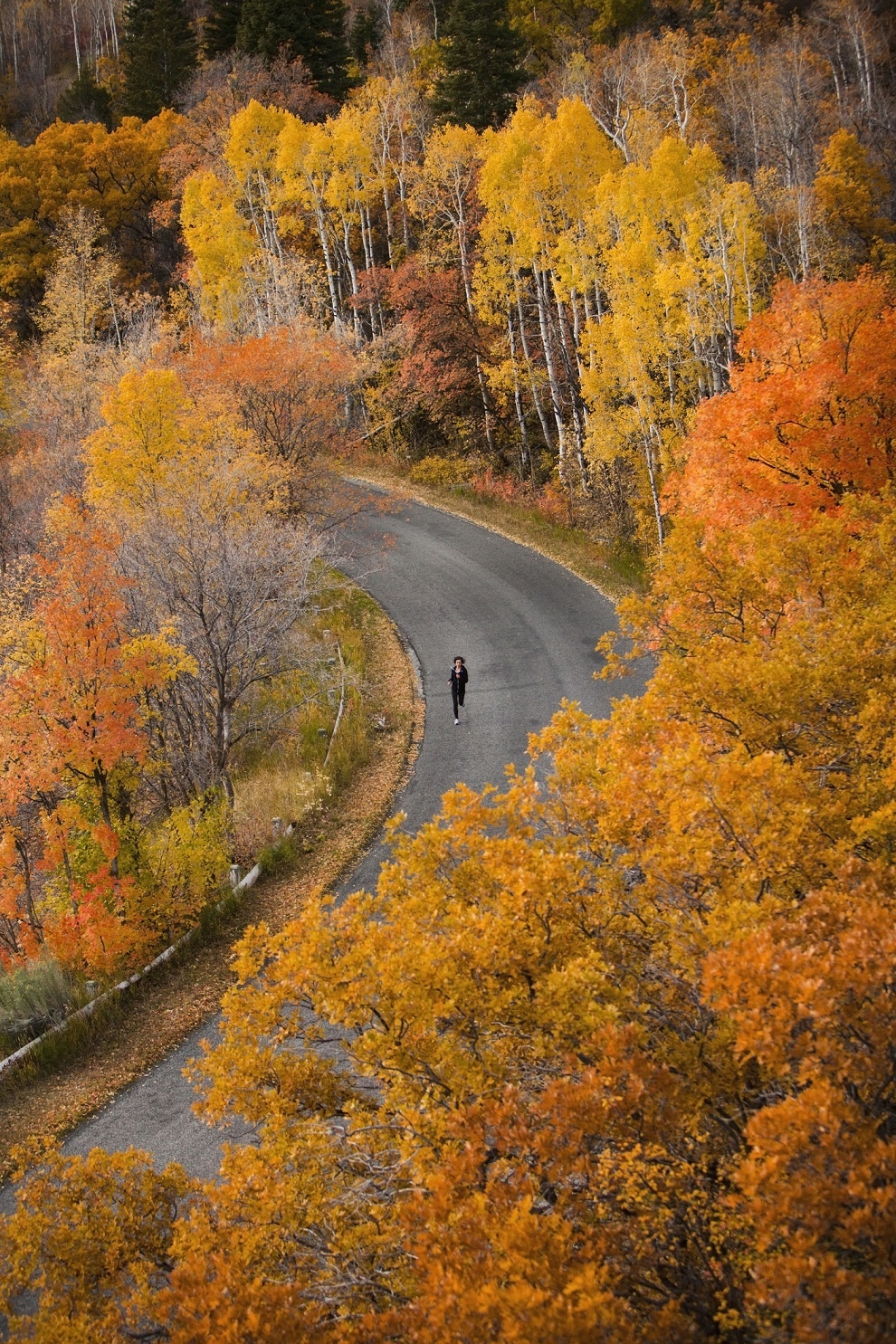 canh mua thu tuyet dep o cac nuoc anh 6