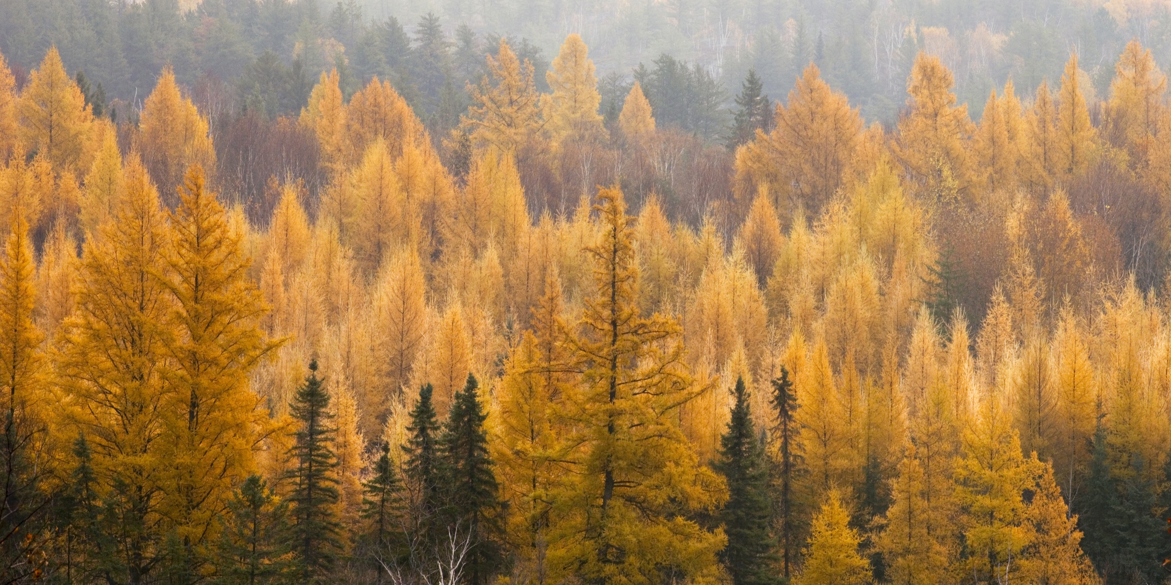 canh mua thu tuyet dep o cac nuoc anh 9