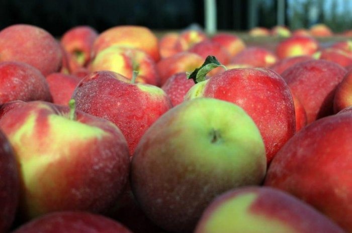 thực phẩm giúp tập trung ảnh 1 thuc pham giup tap trung anh 1