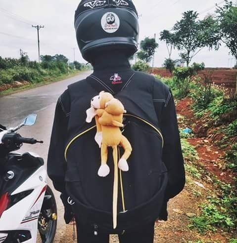 Phượt cùng thú bông ảnh 6 Phuot cung thu bong anh 6