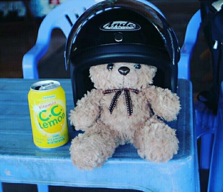 Phượt cùng thú bông ảnh 3 Phuot cung thu bong anh 3