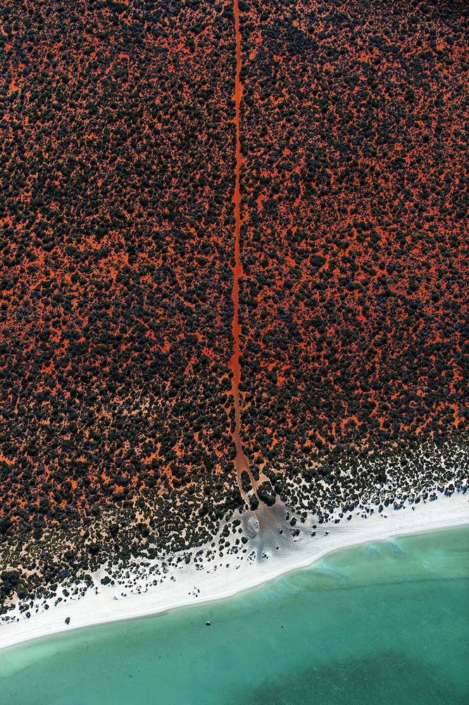 ảnh nghệ thuật về biển ảnh 2 anh nghe thuat ve bien anh 2