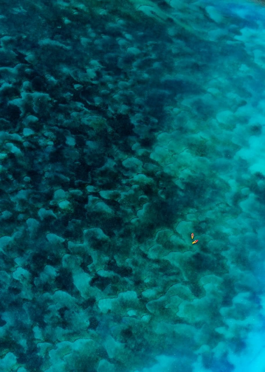 ảnh nghệ thuật về biển ảnh 18 anh nghe thuat ve bien anh 18