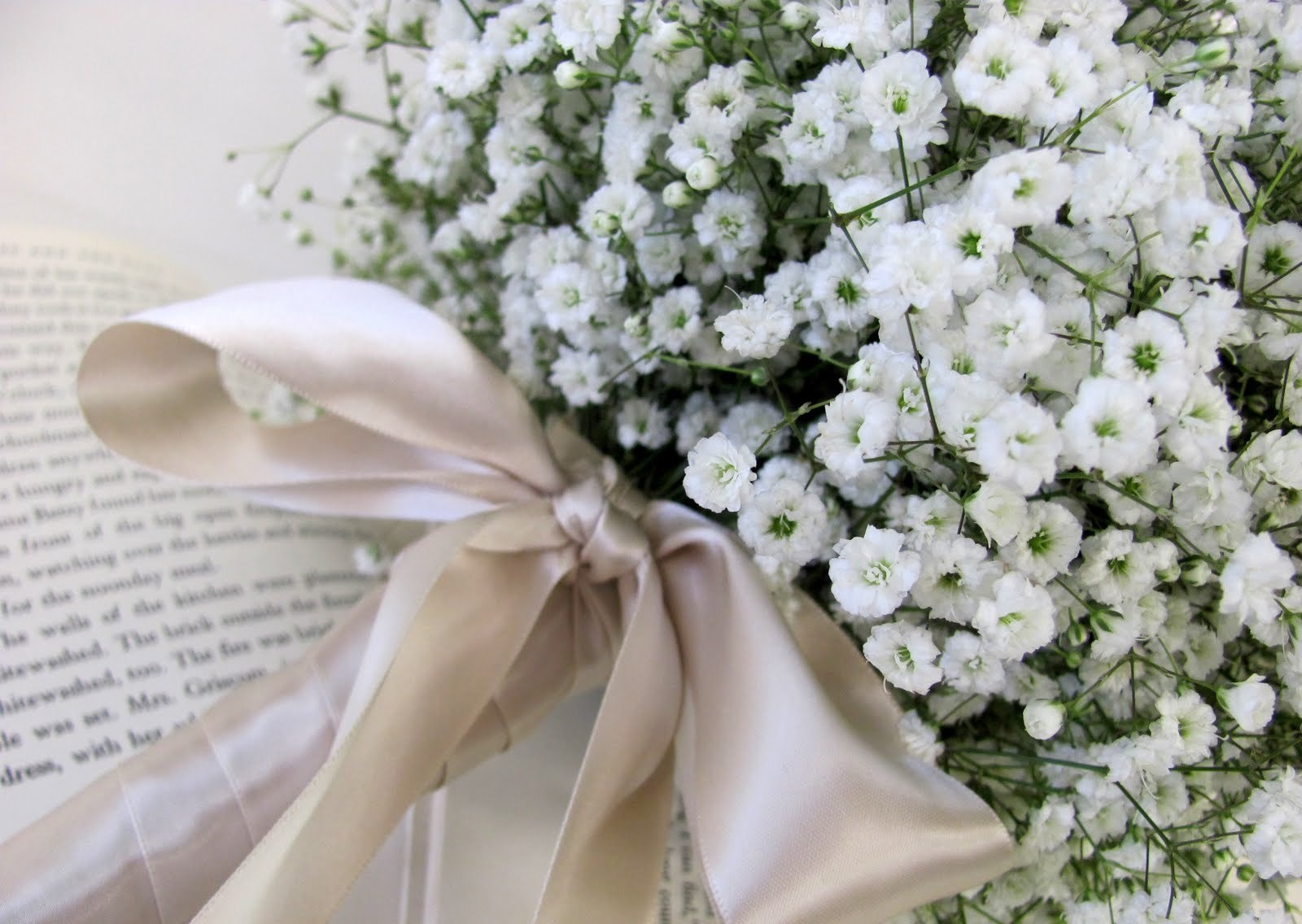 Tu vi thu sau ngay 28/10 cua cac cung hoang dao hinh anh