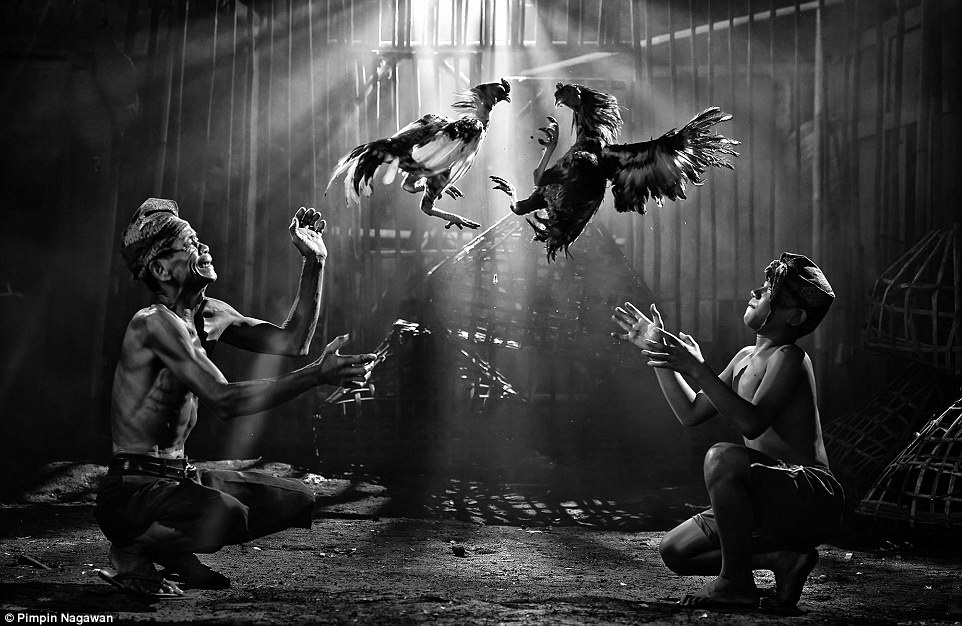 Ảnh đan lưới ở Phan Rang,  Siena International Photo Awards ảnh 12 Anh dan luoi o Phan Rang,  Siena International Photo Awards anh 12