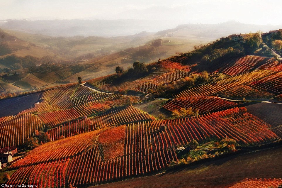 Ảnh đan lưới ở Phan Rang,  Siena International Photo Awards ảnh 18 Anh dan luoi o Phan Rang,  Siena International Photo Awards anh 18