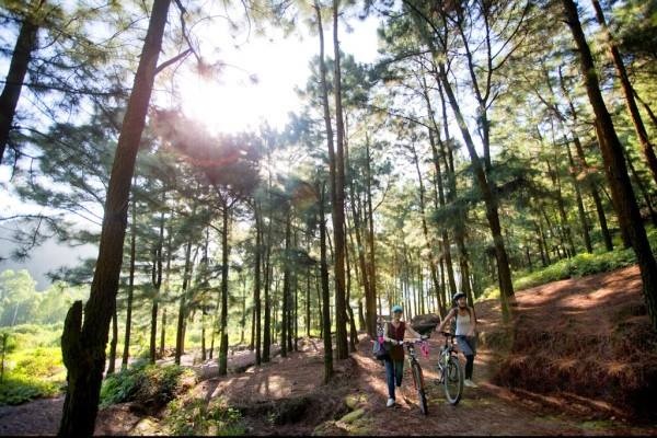 Nhung dia diem tuyet dep de cam trai mua thu hinh anh