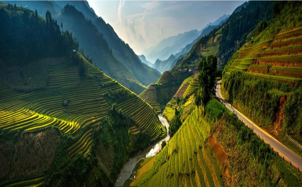Viet Nam duoc khen ve trinh do tieng Anh hinh anh