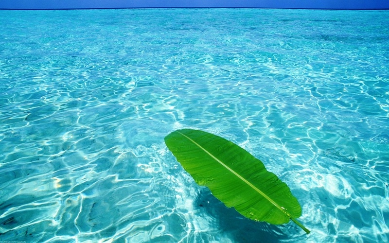 Tu vi thu nam ngay 10/11 cua cac cung hoang dao hinh anh