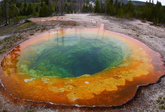 trượt chân xuống hồ nước nóng ở Yellowstone ảnh 1 truot chan xuong ho nuoc nong o Yellowstone anh 1