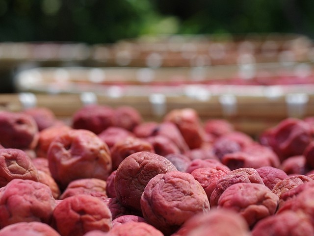 mon an giup nguoi Nhat song lau anh 5