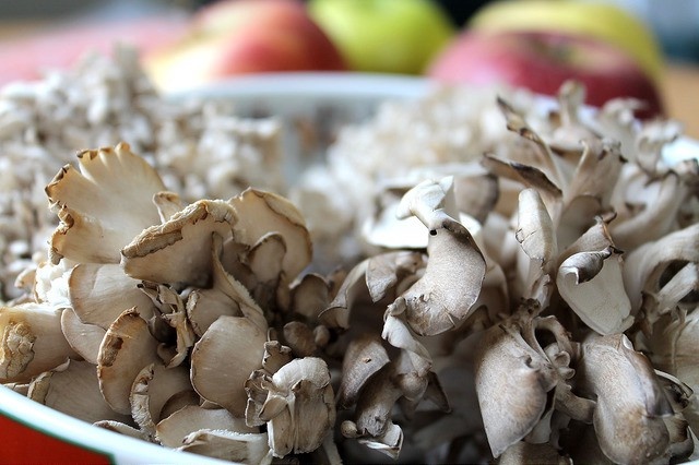 mon an giup nguoi Nhat song lau anh 6