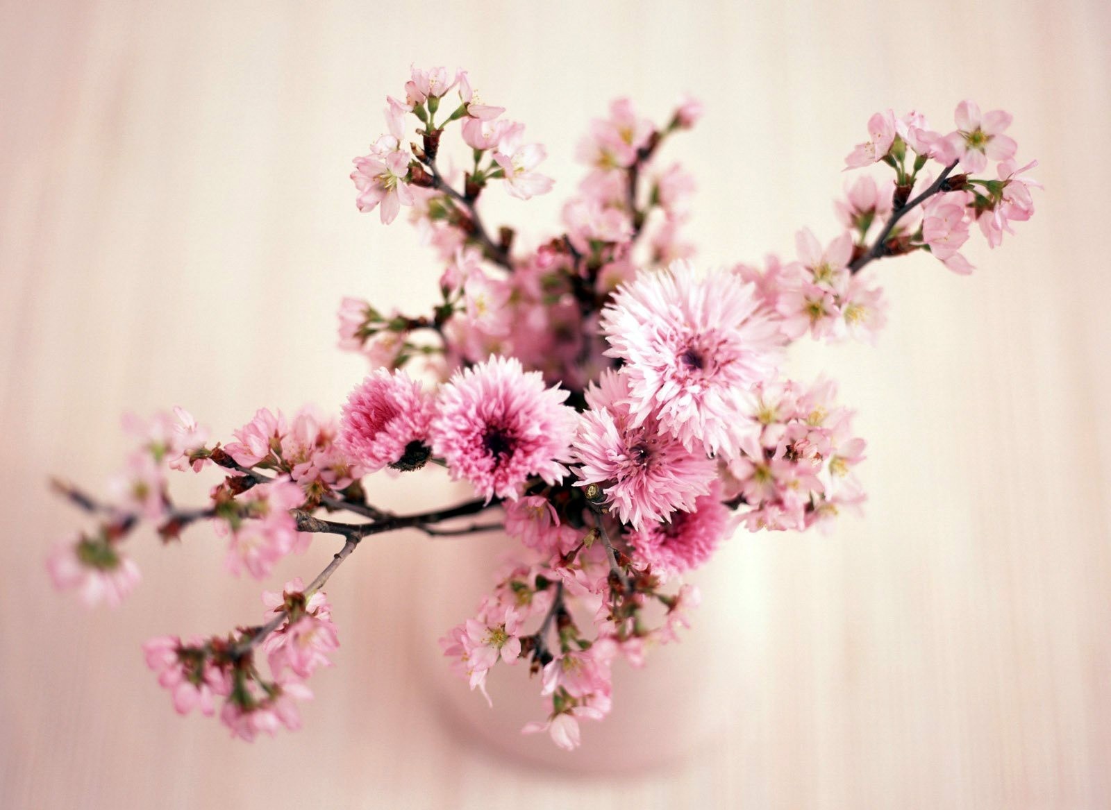 Tu vi thu ba ngay 22/11 cua cac cung hoang dao hinh anh