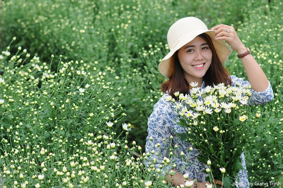 Cúc họa mi ảnh 3 Cuc hoa mi anh 3