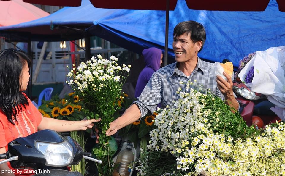 Cúc họa mi ảnh 4 Cuc hoa mi anh 4