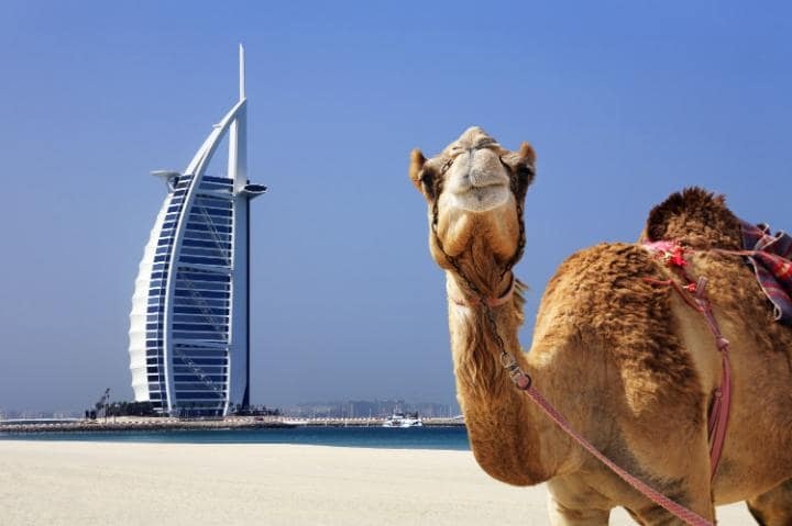 Nhung dieu can biet truoc khi dap chuyen bay den Dubai hinh anh