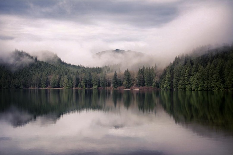 hồ nước phủ sương ảnh 1 ho nuoc phu suong anh 1