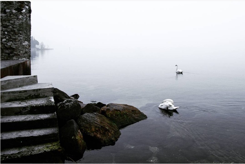 hồ nước phủ sương ảnh 2 ho nuoc phu suong anh 2