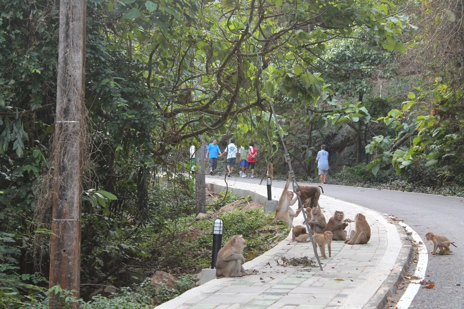 15 diem du lich duoc tim kiem nhieu nhat o Dong Nam A anh 9