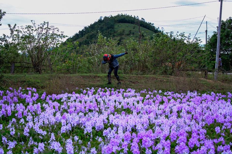 Du lịch Bình Thuận ảnh 6 Du lich Binh Thuan anh 6