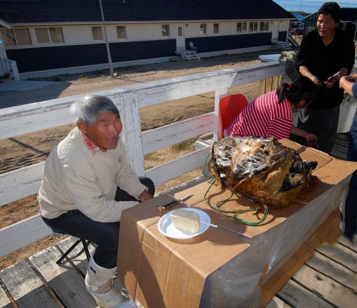 mon an kinh di,  Giang sinh,  kiviaq anh 9