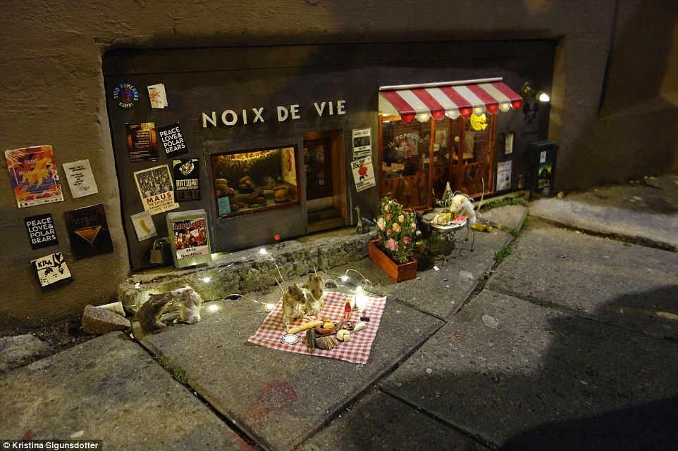 Nha hang ti hon danh cho chuot anh 6