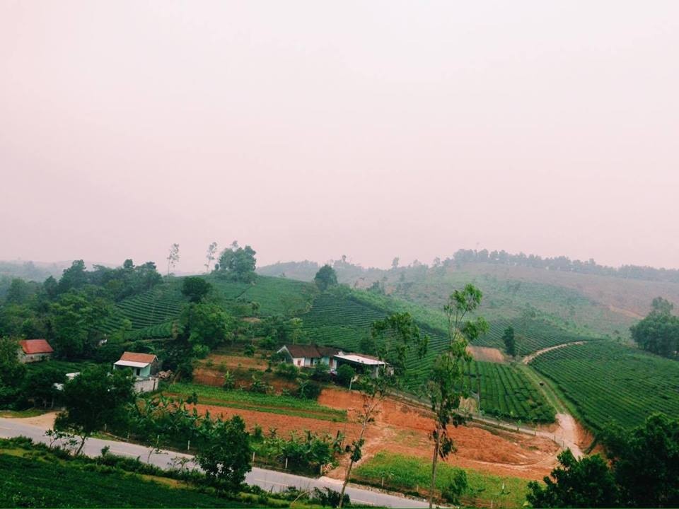 Dao che Nghe An anh 7