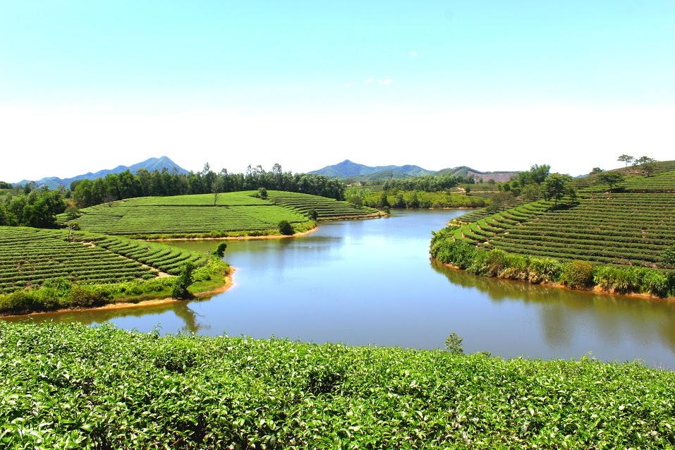 Dao che Nghe An anh 2