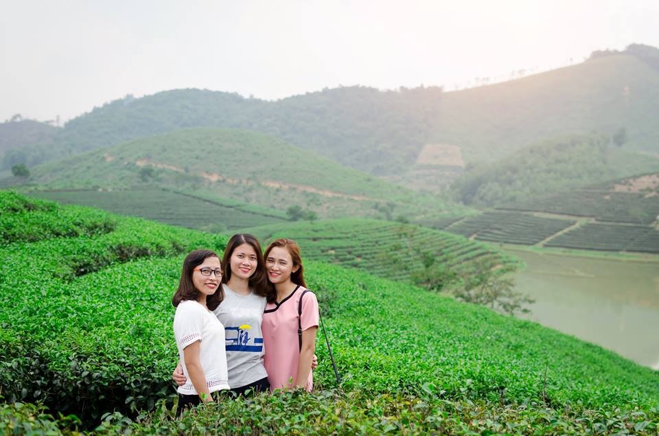 Dao che Nghe An anh 1