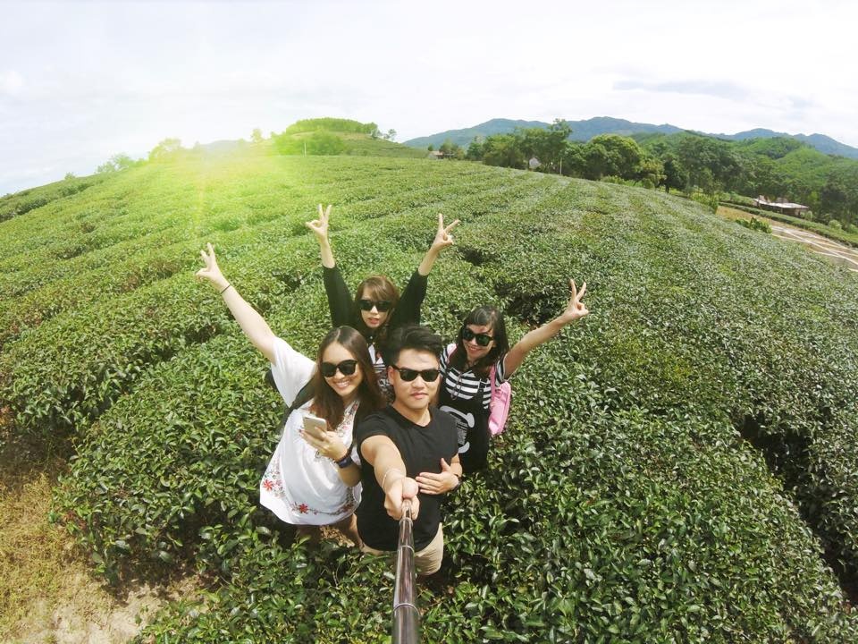 Cuoi tuan ve oc dao che xanh mat xu Nghe hinh anh