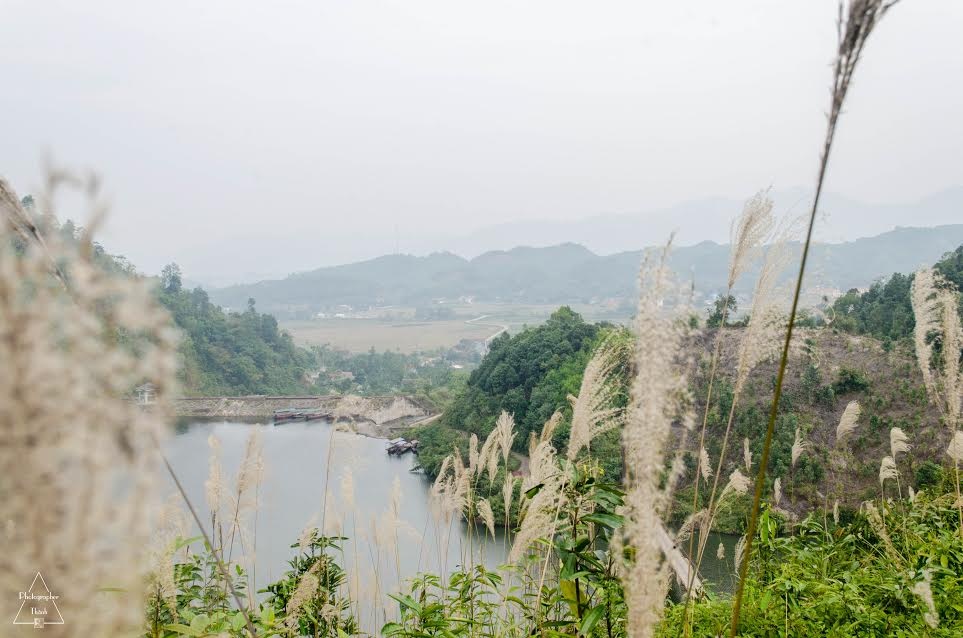 Hồ Ly ảnh 6 Ho Ly anh 6