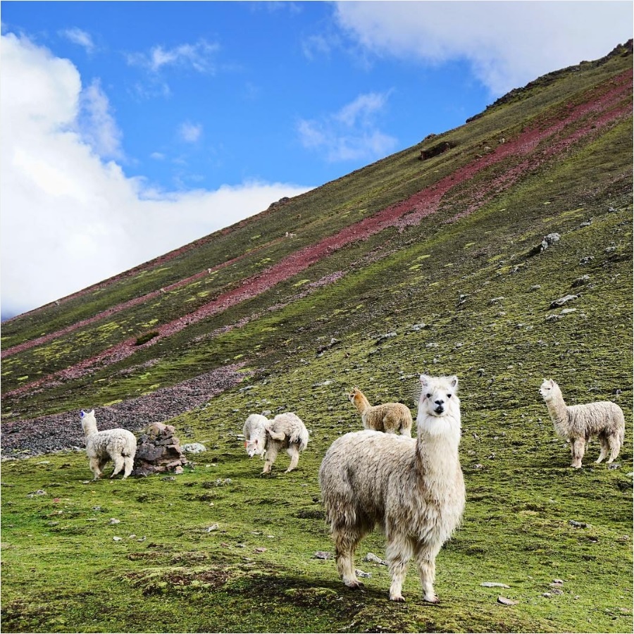 núi cầu vồng ảnh 4 nui cau vong anh 4