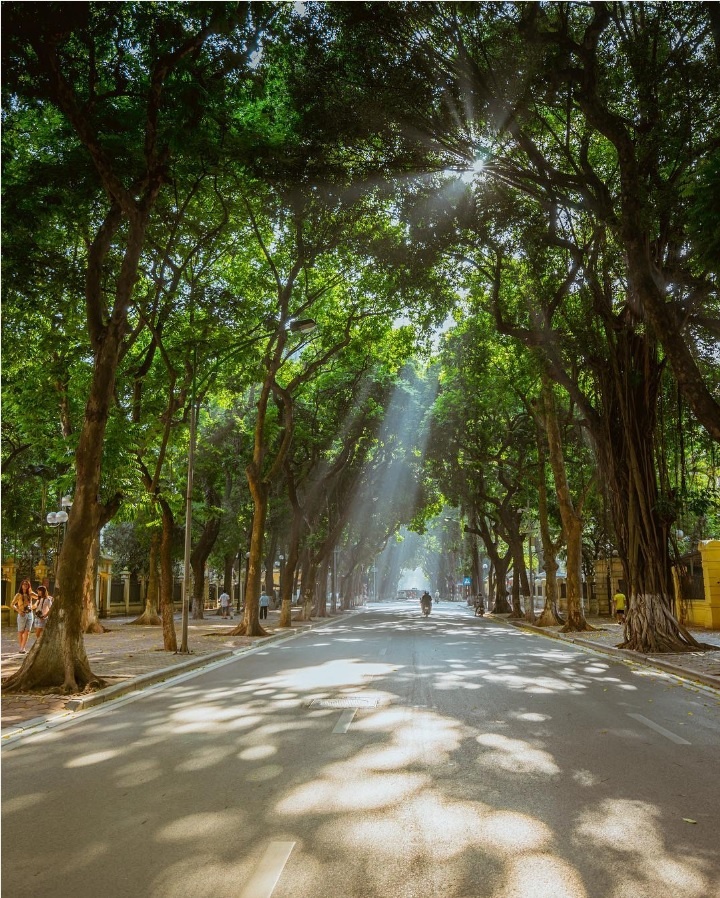 Tết tây tại Hà Nội ảnh 1 Tet tay tai Ha Noi anh 1