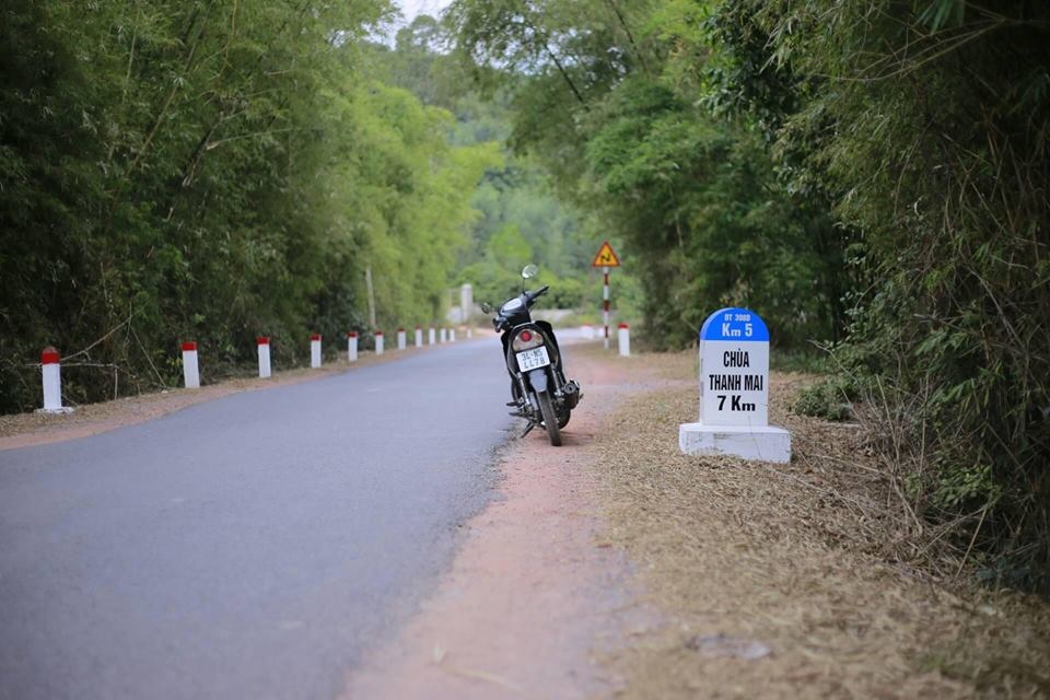 Lá phong ảnh 3 La phong anh 3