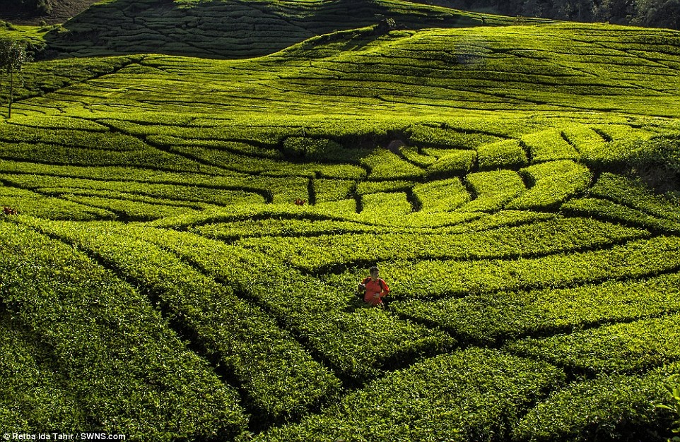 nhung buc anh du lich dep nam 2016 anh 8