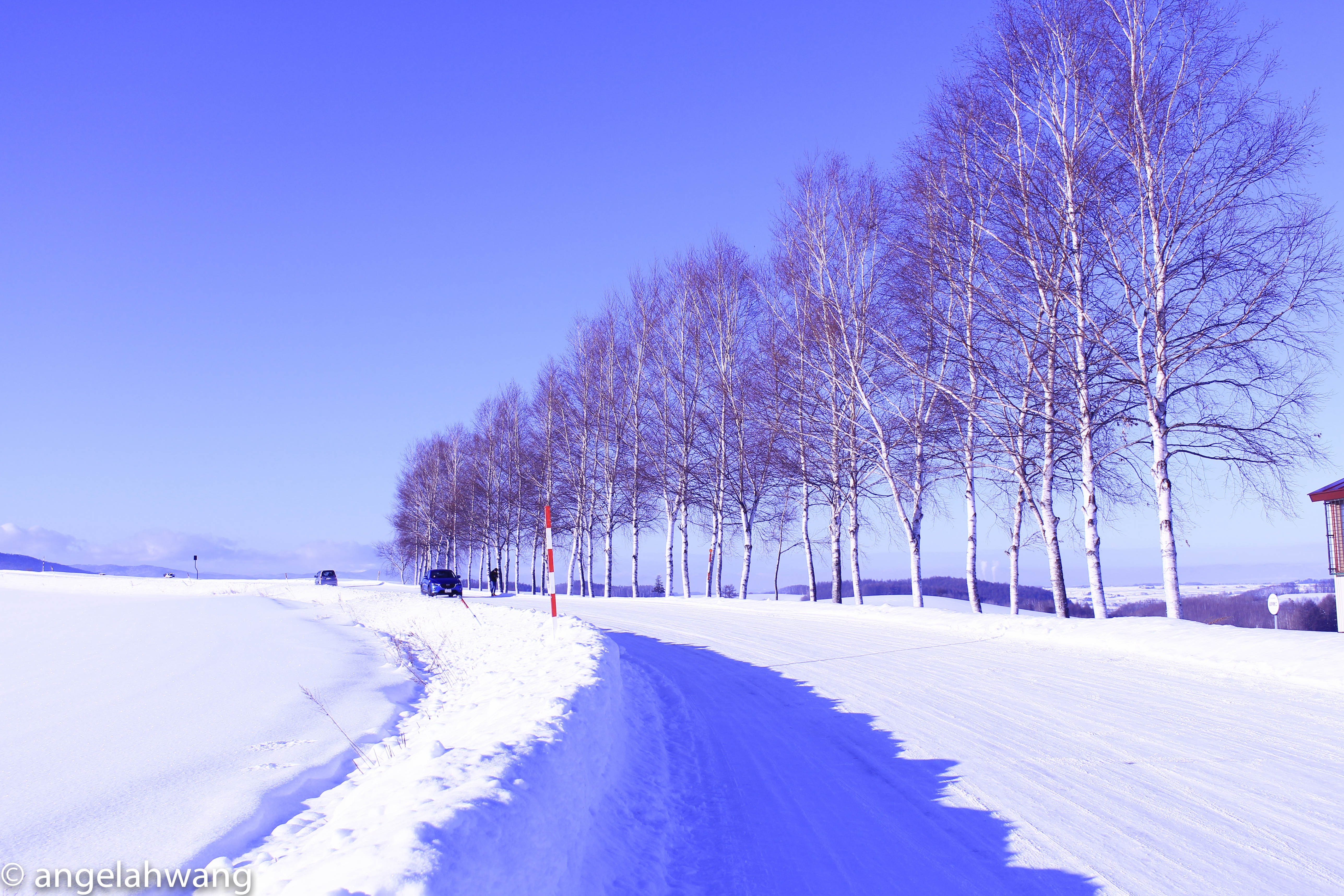 Tuyết phủ trắng Hokkaido ảnh 1 Tuyet phu trang Hokkaido anh 1