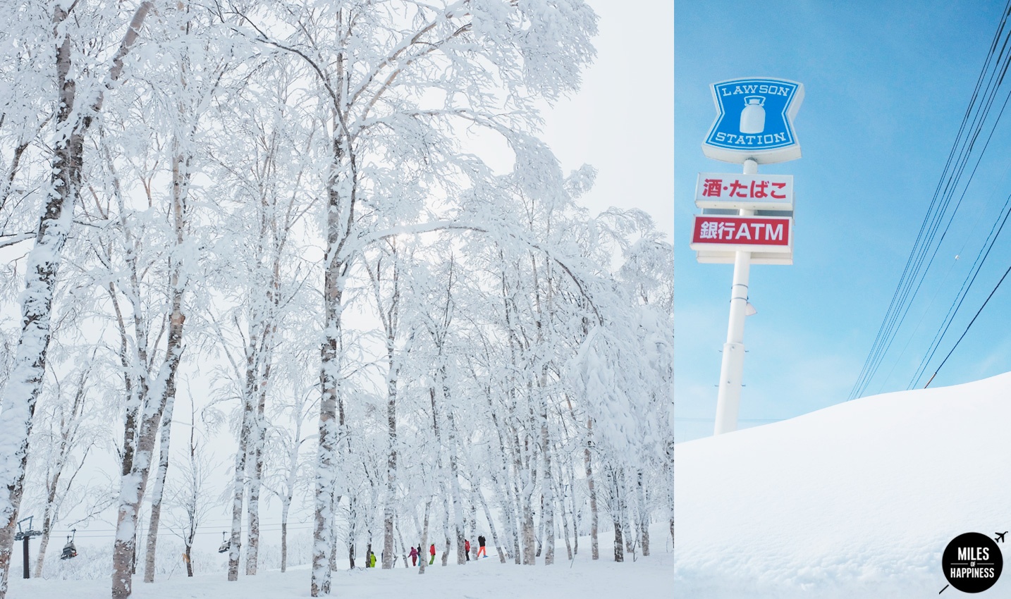 Tuyết phủ trắng Hokkaido ảnh 4 Tuyet phu trang Hokkaido anh 4