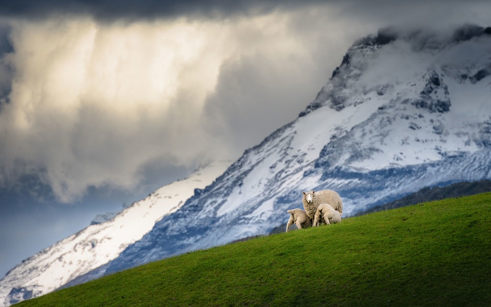 mua dong khap the gioi anh 12