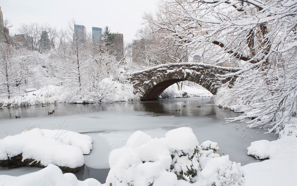 mua dong khap the gioi anh 16