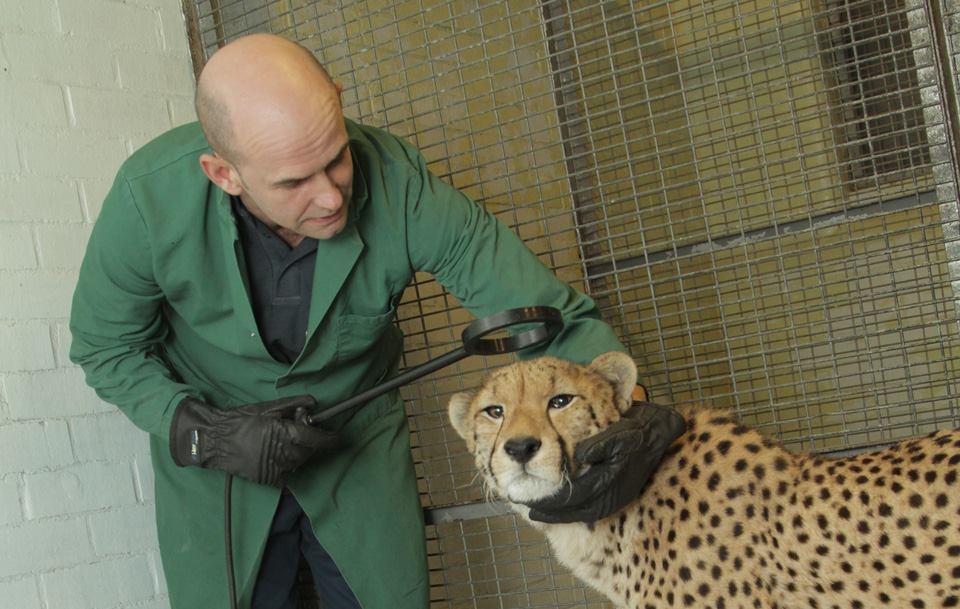 Trung tam thu y o san bay Anh anh 1