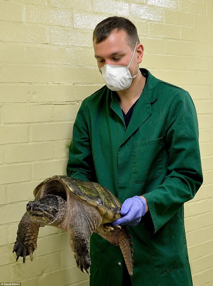 Trung tam thu y o san bay Anh anh 2