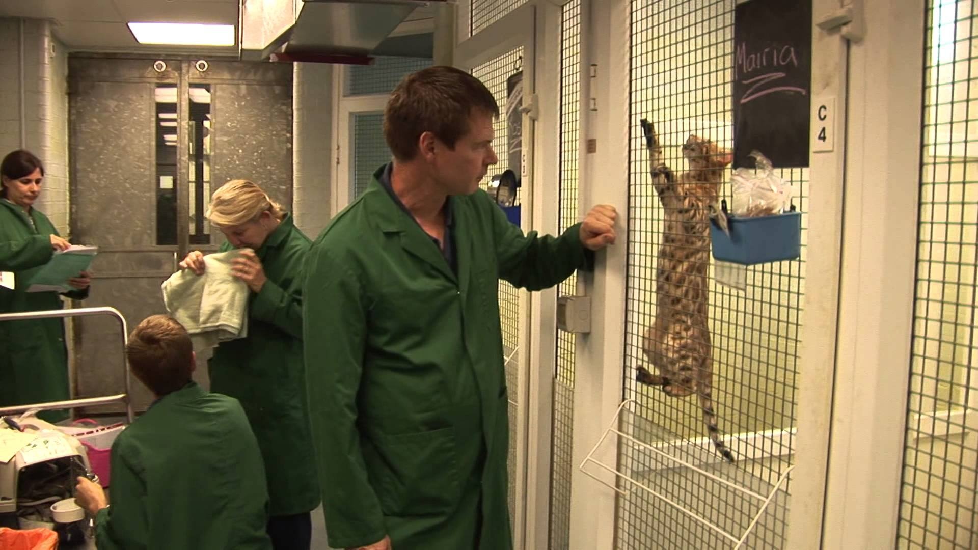 Trung tam thu y o san bay Anh anh 3