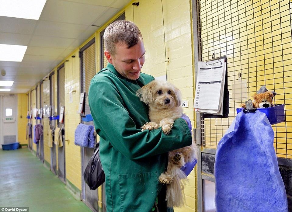 Trung tam thu y o san bay Anh anh 5